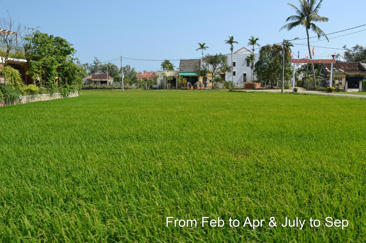 Hoi An Chic - Green Retreat Hotel Exterior foto