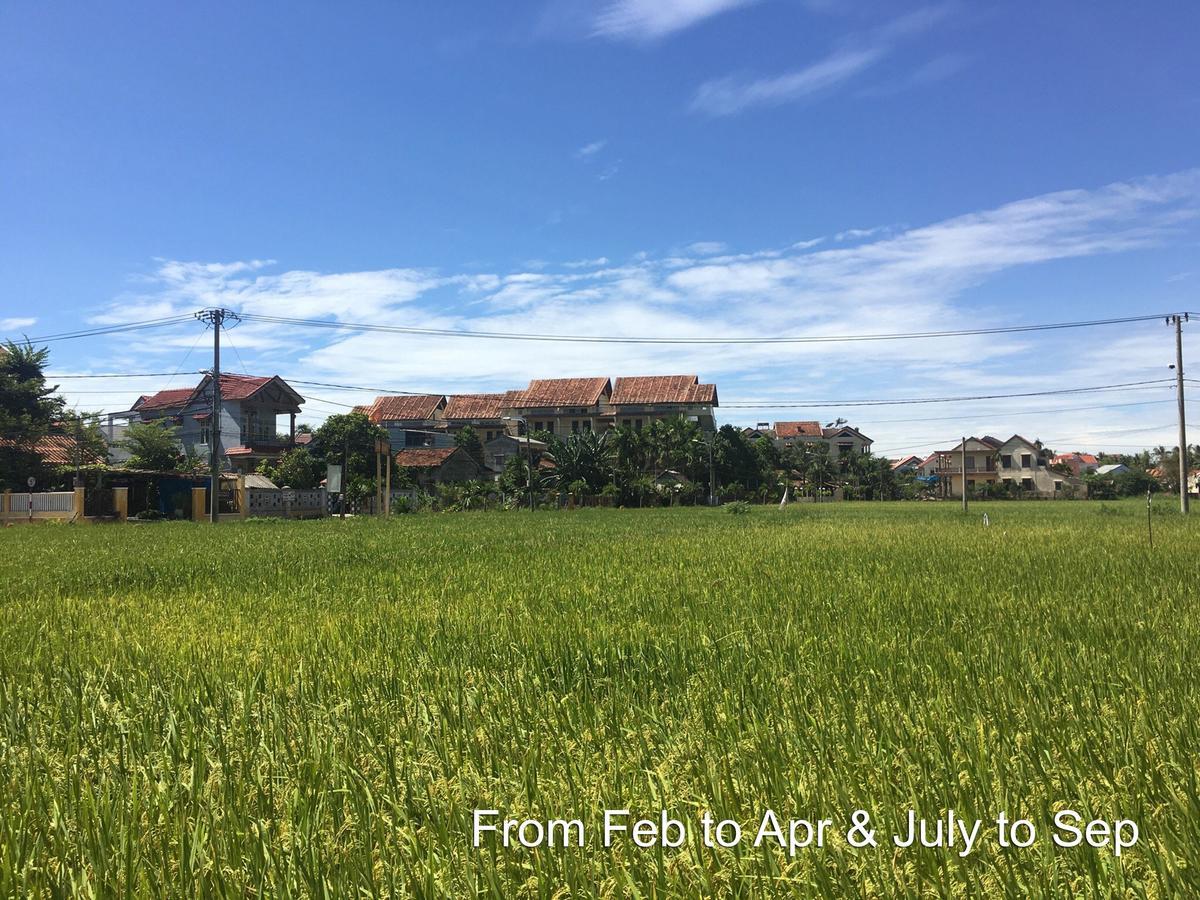 Hoi An Chic - Green Retreat Hotel Exterior foto