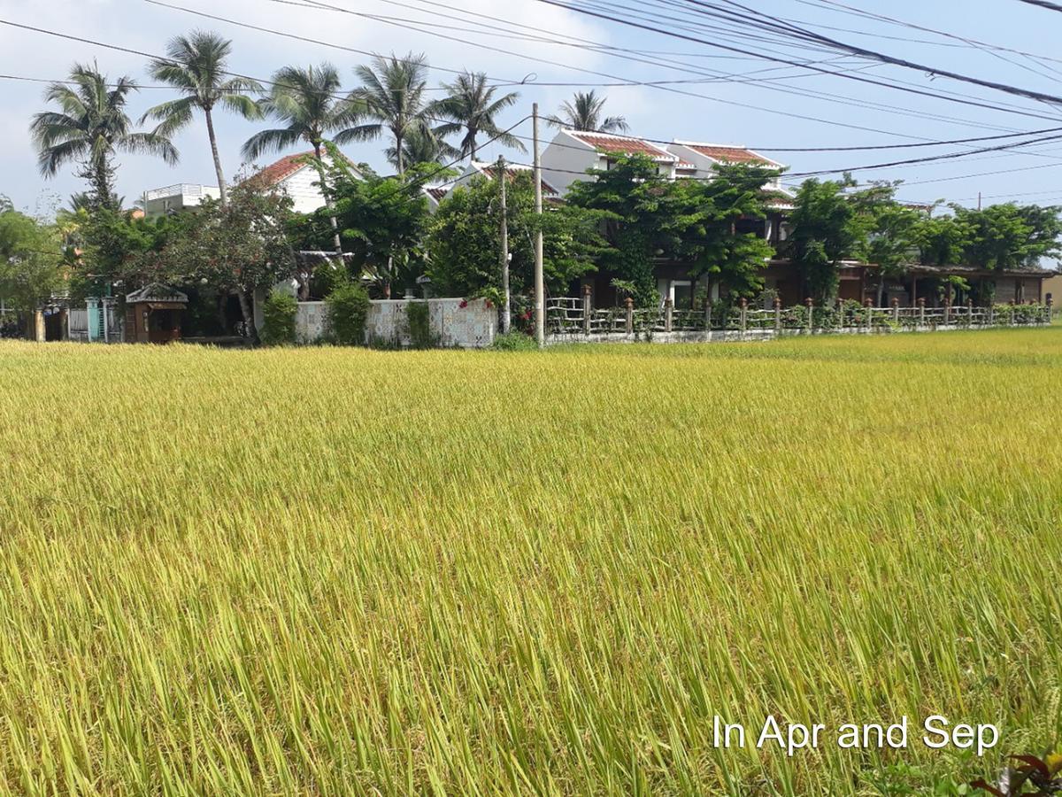 Hoi An Chic - Green Retreat Hotel Exterior foto